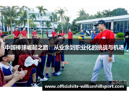 中国棒球崛起之路：从业余到职业化的挑战与机遇